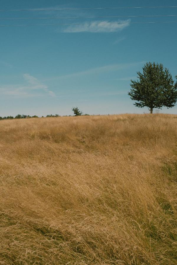 Przystawy Gospodarstwo agroturystyczne Malechowo